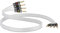 QED Silver Anniversary XT Bi-Wire Speaker Cable Terminated by Digitalis Audio with QED Airloc Forte Banana Plugs (2m, Bi-Wire Airloc)