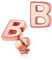 Silvora Buchstaben Ohrstecker 925 Silber Alphabet B Rosegold Name Initiale Ohhringe für Damen Frauen Mädchen