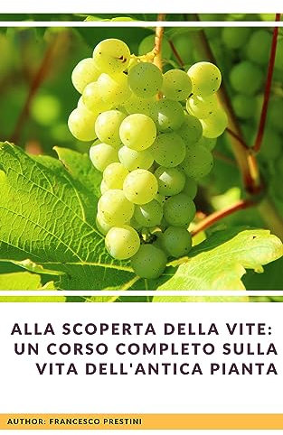 Alla Scoperta della Vite: Un Corso Completo sulla Vita dell'Antica Pianta (Da degustatore a Sommelier)