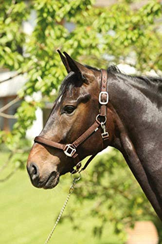 ELDORADO Nylonhalfter Lea - braun - Warmblut