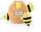 Zippy Burrow - Pot de Miel