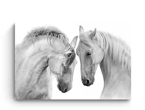 Startonight Impression sur Verre Acrylique Tableau - Chevaux Blancs Doux - Image Animaux Moderne 60 x 90 cm