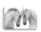 Startonight Impression sur Verre Acrylique Tableau - Chevaux Blancs Doux - Image Animaux Moderne 60 x 90 cm