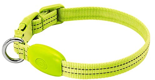 KOSKILL Leuchthalsband Hund Wiederaufladbare USB LED Hundehalsband Wasserdichtes Leuchtendes Hunde Halsband Einstellbare Super Helle für Kleine Hunde (Grün, S)