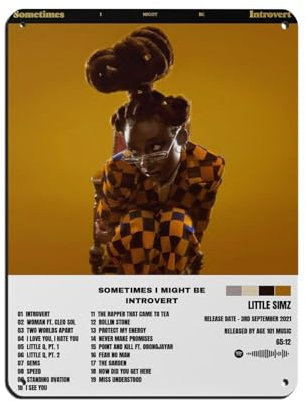 NTRECS Little Simz Poster Sometimes I Might Be Introvertiert, Albumcover, Blechschild, Vintage, Metall, Pub, Club, Café, Bar, Zuhause, Wandkunst, Dekoration, Poster, Retro, 30 x 40 cm