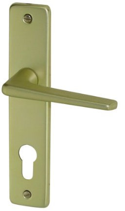 DT 2000 207035 Poignée de porte sur plaque Gets aluminium Champagne cylindre165