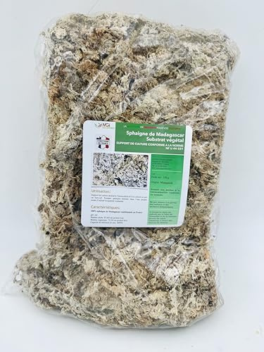 Madagaskar-Sphagnum, 350 g – natürliches Pflanzenwachstum – speichert Wasser – ideal für Orchideen, Aussaat, Terrarien, Kokedamas – entspricht der Norm NF U 44-551