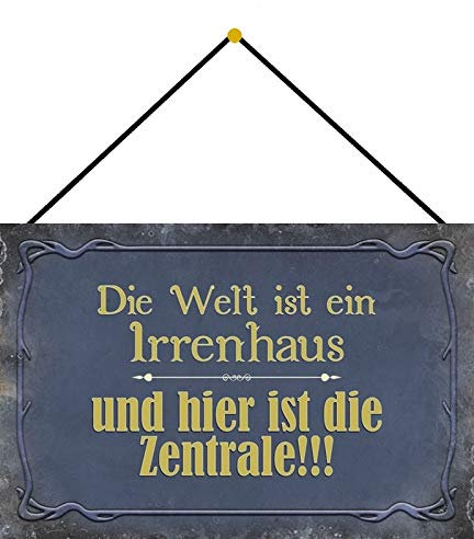 generisch Blechschild 20x30cm gewölbt mit Kordel Die Welt ist EIN Irrenhaus Deko Geschenk Schild
