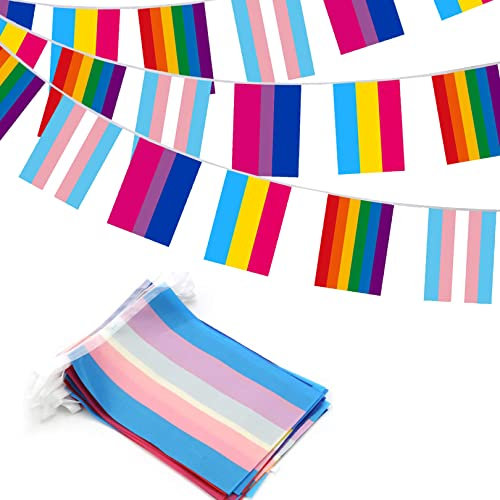5 M Pride Bunting with 20 Pcs Triangle Pride Flag,Transgender Asexual Bisexual Pansexual Lesbian Flags LGBTQ Party Vivid Pride Accessories Banner,Pride Decorations,Rainbow Party Decorations Bunting