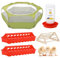Pawaboo 5-in-1 Boîte D'incubation pour Poussins, Kit de Démarrage, Cage pour Animaux de Compagnie, Perchoir pour Poussins, 1,1L Fournitures pour Bébés Poussins (Kit D'incubation)
