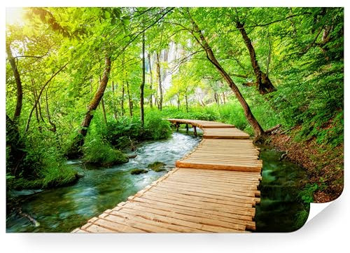 Fototapete Wald Grün Premium Vlies - Vliestapete Tapete Wandtapete Motivtapeten Vliestapeten Wohnzimmer Schlafzimmer moderne Wand Bildtapete Landschaft Natur Baum Weg 368 x 254 cm