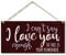CARISPIBET I can't say love you enough times home signs house decorative plaques cute decorative gift for the room 6 x 12