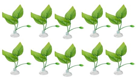 Gissroys 10 x Blattbeet, Laub, Lebensraum, Aquarium, Laichplatz, Tasse, Laubunterlage, Ruhebett, Hängematten, Aquarien, Dekorationen