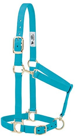 Weaver Leather Basic Adjustable Nylon Halter, Turquoise, 1 Large Horse | Verstellbares Kinn, Halsverschluss, vermessingte Beschläge für einfache Handhabung und bequeme Passform, Türkis