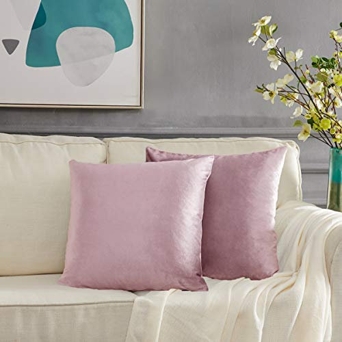 Samt Kissenbezug 60x60cm Kissenbezüge Rosa Sofakissen Kissenhülle Dekokissen für Wohnzimmer Schlafzimmer Auto 2er Pack