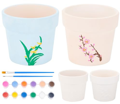 WEBEEDY 2 Sets DIY Ceramic Flower Pots Figurines Peindre Vos Propres Pots de Succulentes en CéramiquePots de Fleurs en Céramique Projet d'artisanat en Classe pour Les Débutants Acticité Amusante