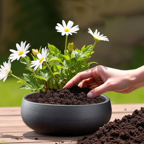Lotus Bowl Pot de fleurs de lotus en céramique, applicable aux plantes succulentes, plantes hydroponiques, pour plantation dans l'eau à l'intérieur, plantes aquatiques, sans trous de drainage (A)