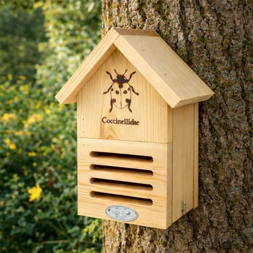 CKB LTD Maison en bois de coccinelle pour jardin – Boîte d'habitat coccinelle en pin – Abri d'extérieur pour insectes avec trou de serrure extérieur suspendu