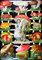 1 Bogen 22 cm Glanzbilder EF 7355 Pilze Pilz Posie Bild Figur Scrapbook Deko 220