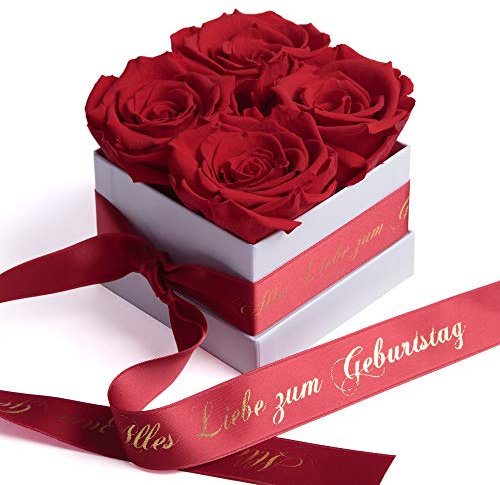 ROSEMARIE SCHULZ Heidelberg Infinity Rosenbox Alles Liebe zum Geburtstag - Blumenbox mit Infinity Rosen haltbar 3 Jahre - Geburtstagsgeschenk für Freundin (Alles Liebe zum Geburtstag, Weiß-Rot)