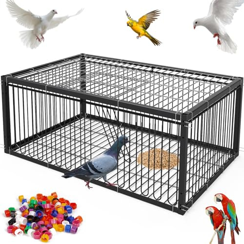 MOGOULUA Taubenkäfig 60CM Vogelkäfig zum Einsammeln von Tauben Brieftaube Fleischtauben Schneetauben Wachteln (Schwarz)