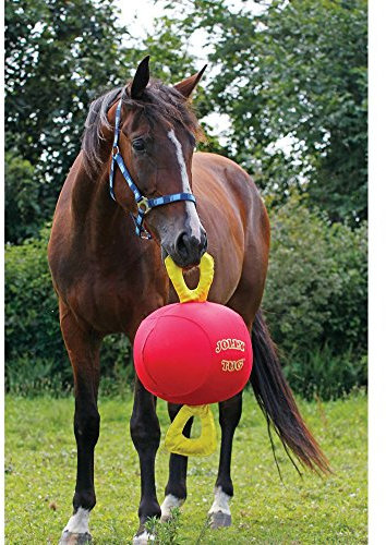 Signature Horsemen's Pride 14-Inch Horse Jolly Tug, Blue one size