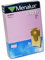 5 sacs aspirateur d origine 20 litres en papier pour aspirateur ntp20, nts20