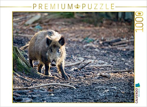 CALVENDO Puzzle Wildschwein | 1000 Teile Lege-Größe 64 x 48 cm Foto-Puzzle für glückliche Stunden