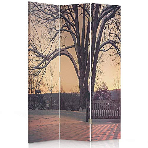 Feeby Frames