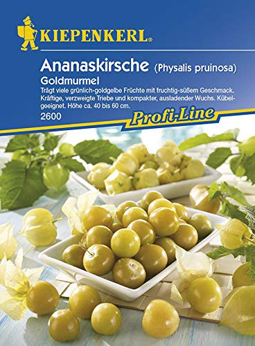 Kiepenkerl 2600 Ananaskirsche Goldmurmel (Ananaskirschensamen)