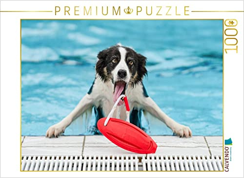 CALVENDO Puzzle EIN Motiv aus dem Kalender Gut geplant - mit Hunden durch´s Jahr | 1000 Teile Lege-Größe 64 x 48 cm Foto-Puzzle für glückliche Stunden