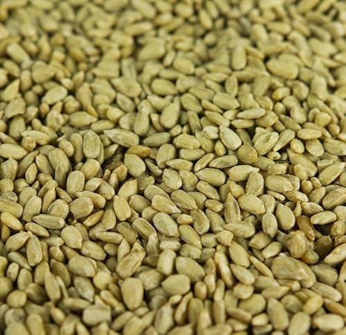 Beschäftigte Schnäbel Sonnenblumenkerne - Körner Vogelfutter Bäckereiqualität für Wildvögel (10kg)