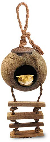 SunGrow Crested Gecko, Snake & Ball Python Kokoshütte Leckerli & Futterspender Kletterveranda Versteck Ideal für Reptilien Amphibien (mit Leiter)