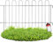 KADAX Grillage de Jardin Grille en Acier Clôture de Jardin Revêtement en Poudre avec Fixations Métalliques Clôture Décorative pour Jardin, Éléments de Clôture (Hauteur : 69.5cm)
