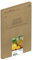 Epson Orginal 604 Tinte Ananas Multipack 4-farbig Standard, XP-2200 XP-2205 XP-3200 XP-4205 WF2910DWF WF2930DWF WF2950DWF, EasyMail, ReadyPrint Flex-Tintentarife