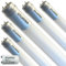 SYLVANIA LED T8 Röhre 97cm | 4000K Neutralweiß | Neonröhre Ersatz | 1800 Lumen | 12 Watt | Leuchtmittel mit Starter | 5er Pack