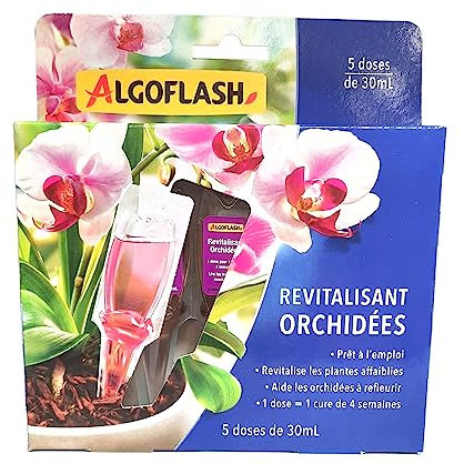 ALGOFLASH Monodose Revitalisierende Blumen auf Balkon und Terrasse, 5 Dosen, Monorchid, Violett