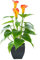 Künstliche Blume, Calla-Lilien, künstliche kleine Topfpflanze mit schwarzem Topf, künstliche Bonsai-Blume für Zuhause, Büro, Innen- und Außenbereich, Dekoration (orangefarbene Kunstblume)