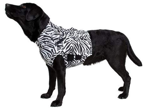 Medical Pet Shirt MPS TOP, Oberkörper Shirt für Hunde, Zebra-Print, S