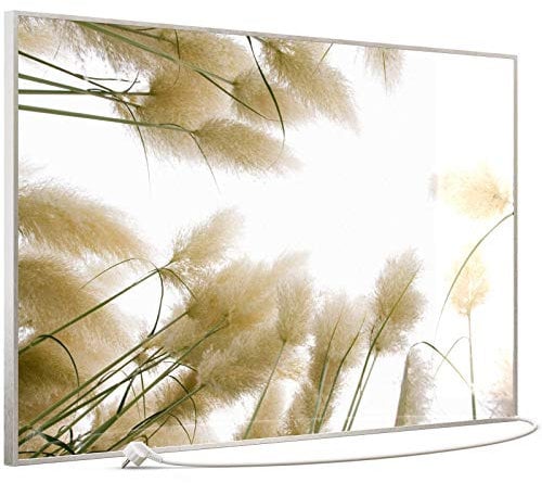 STEINFELD Heizsysteme® Glas Bild Infrarotheizung mit Thermostat | Made in Germany | viele Motive 350-1200 Watt Rahmen silber/alu (900 Watt, 043 Röhricht)
