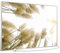 STEINFELD Heizsysteme® Glas Bild Infrarotheizung mit Thermostat | Made in Germany | viele Motive 350-1200 Watt Rahmen silber/alu (900 Watt, 043 Röhricht)