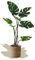 Maia Shop | Monstera Artificiale | Piante finte | Misure: 120 x 80 cm | Piante Finte da Interno | Piante Artificiali | Piante Finte Decorative | Decorazioni casa