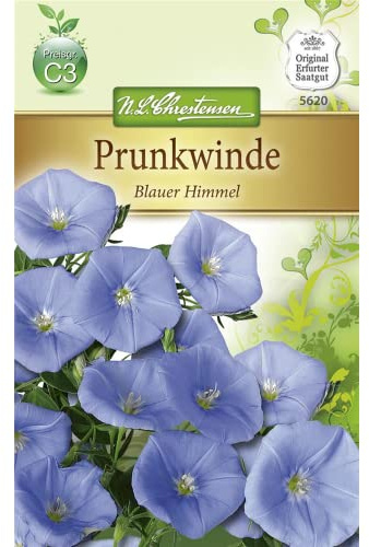 Chrestensen Prunkwinde 'Blauer Himmel'