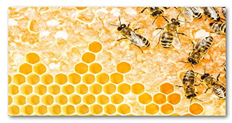 Tulup Splashback 39.37x19.68 inch / 100x50cm Wall Protection Glass Panel Kitchen Panel Splash-back Kitchen Protection Induction Cooker Tempered Glass Toughened Safe Glass - Orange - bees
