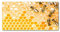 Tulup Splashback 39.37x19.68 inch / 100x50cm Wall Protection Glass Panel Kitchen Panel Splash-back Kitchen Protection Induction Cooker Tempered Glass Toughened Safe Glass - Orange - bees