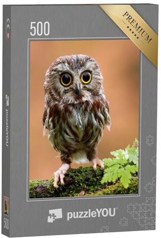 puzzleYOU: Puzzle 500 Teile „Das niedliche einsame Eulenbaby“ – aus der Puzzle-Kollektion Eulen, Vögel, Exotische Tiere & Trend-Tiere