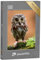 puzzleYOU: Puzzle 500 Teile „Das niedliche einsame Eulenbaby“ – aus der Puzzle-Kollektion Eulen, Vögel, Exotische Tiere & Trend-Tiere