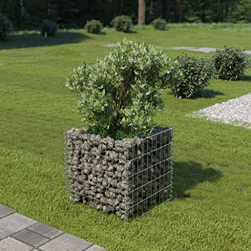 Festnight Gabionen-Hochbeet Steinkorb Pflanzkübel Pflanzkorb 50 x 50 x 50 cm Pflanzkorb Hochbeete Für Garten Gabionenkörbe Blumenkasten Gemüsebeet Kräuterbeet Verzinkter Stahl