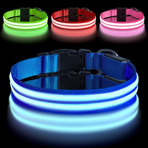 AUAUY Leuchthalsband Hunde Einstellbar Blinklicht 3 Beleuchtungsmodi Blau-M | Hundehalsband Leuchtend, Aufladbar, Sicherheit Halsband, LED Hundehalsband, Wasserdicht, für Kleine Mittlere Große Hunde
