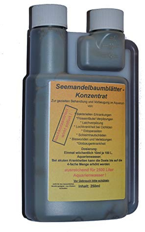 Flüssige Seemandelbaumblätter Konzentrat aus Seemandelbaumblättern 250ml